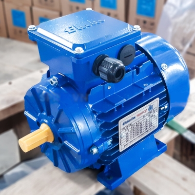 Động Cơ Elecktrim 0.55Kw-0.75Hp