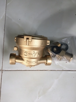 ĐỒNG HỒ NƯỚC SANWA SV15