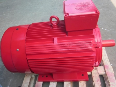 ĐỘNG CƠ ENERTECH ESC005502