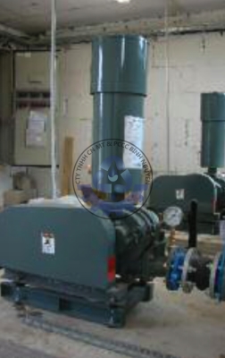 Máy Thổi Khí Tsurumi RSR2-250