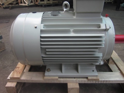 Động Cơ Chân Đế Teco AESV 132S-6 (3,7KW)