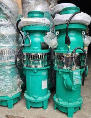 Bơm thả chìm trục đứng 100QY65-69/3-18.5/380V